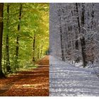 Herbst & Winter