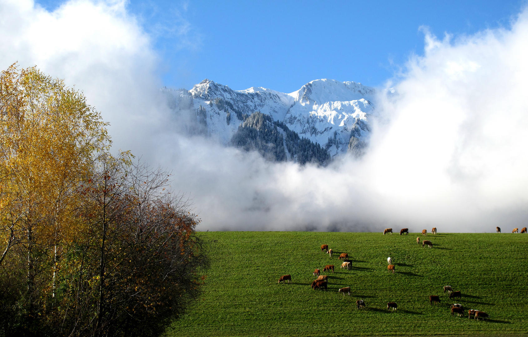 Herbst-Winter