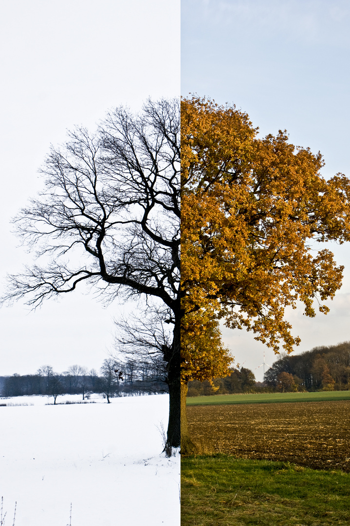 Herbst-Winter