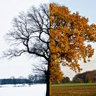 Herbst-Winter