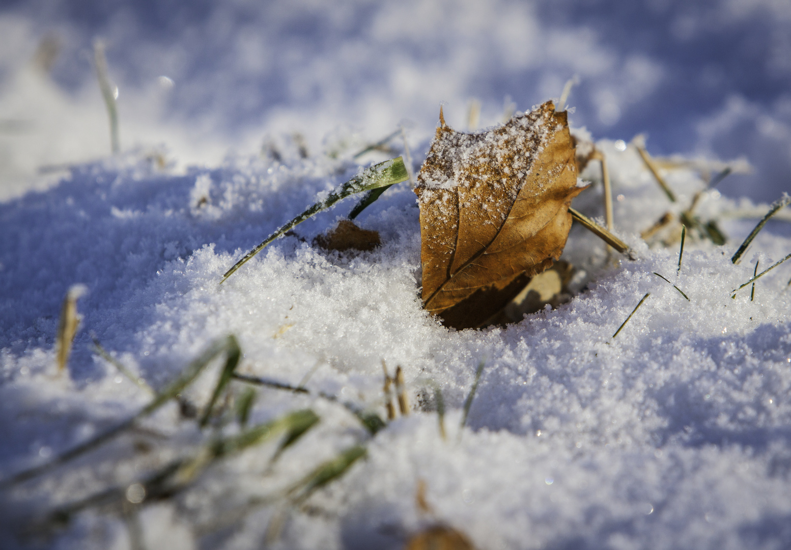 Herbst? Winter?