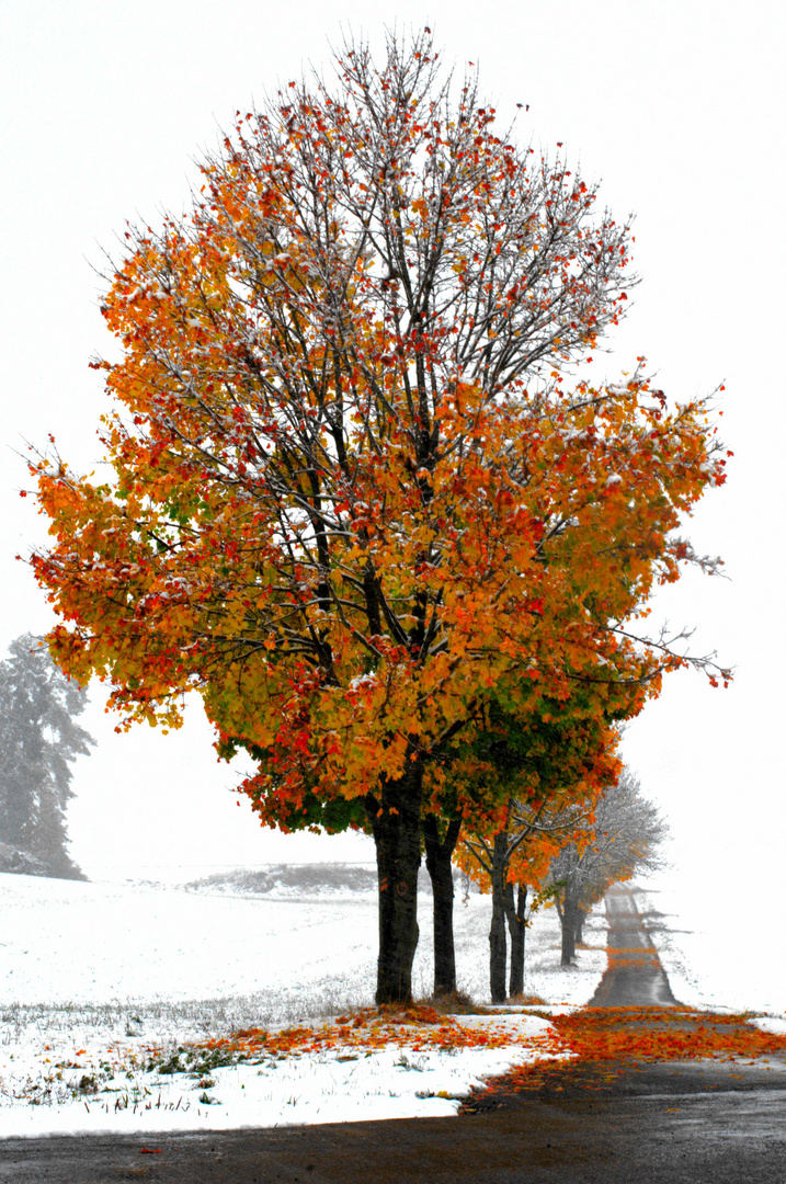 herbst-winter