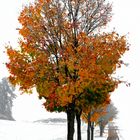 herbst-winter