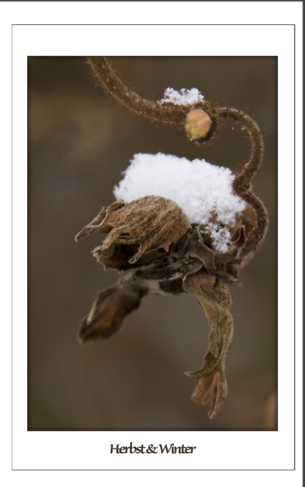 Herbst & Winter