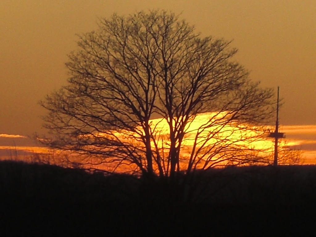 herbst-winter feuer am himmel