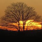 herbst-winter feuer am himmel