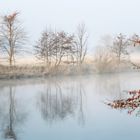 Herbst-Winter-Frühling