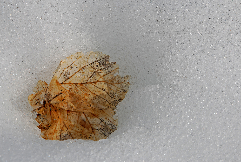 Herbst - Winter - Frühling