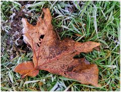 Herbst- Winter- Frühling