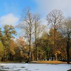 Herbst- Winter im Schulpark in Baruth