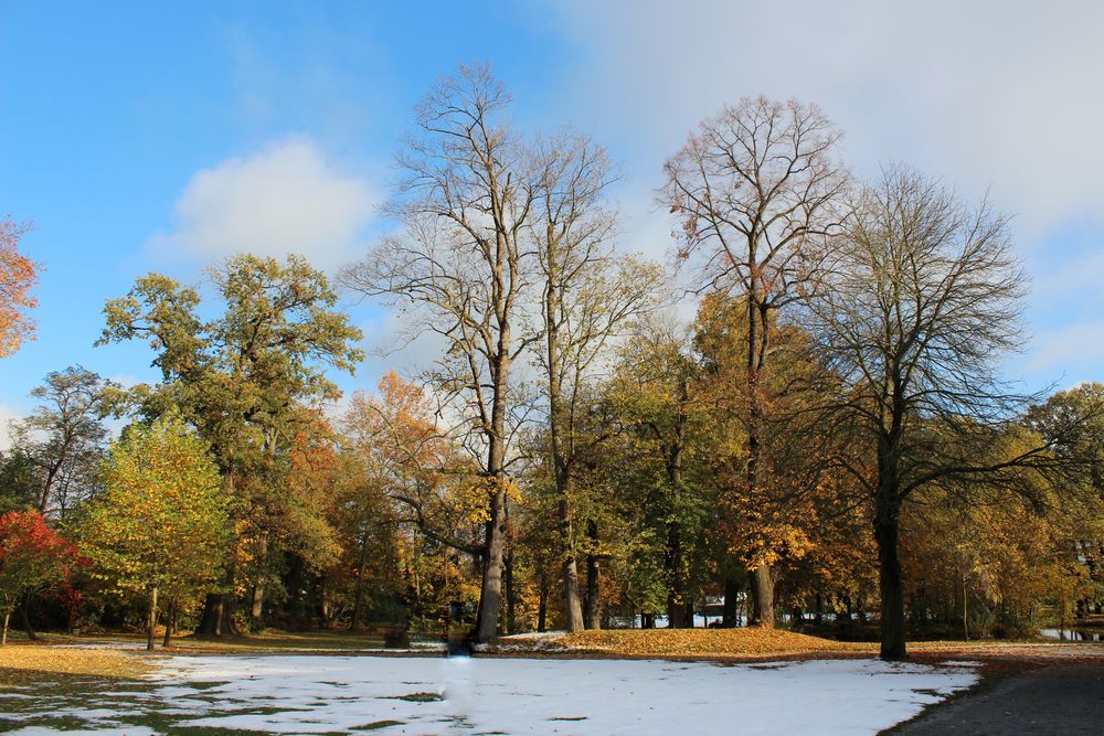 Herbst- Winter im Schulpark in Baruth