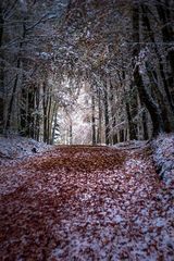 Herbst-Winter-Impressionen II