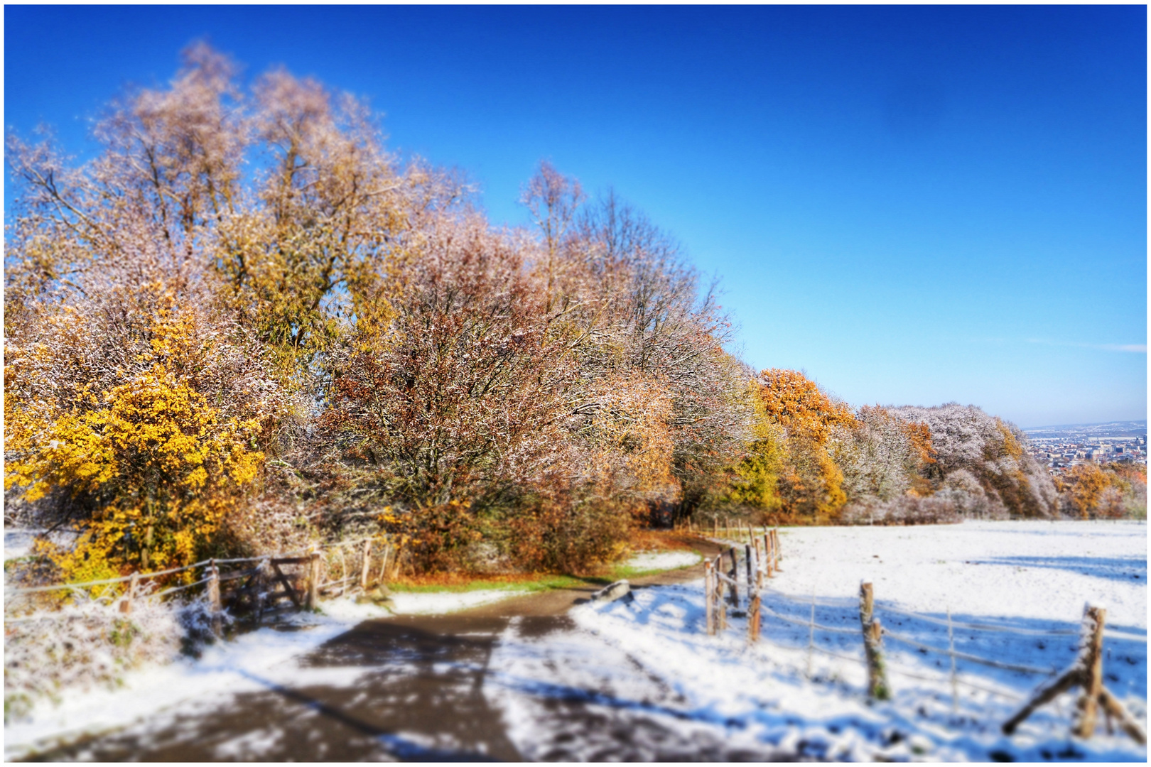 Herbst-Winter-Mix