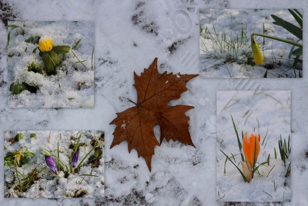 Herbst, Winter und Frühling