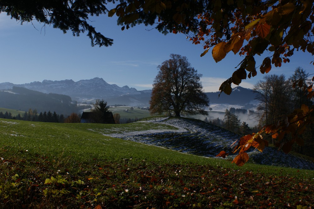 Herbst-Winterbegegnung