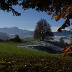 Herbst-Winterbegegnung