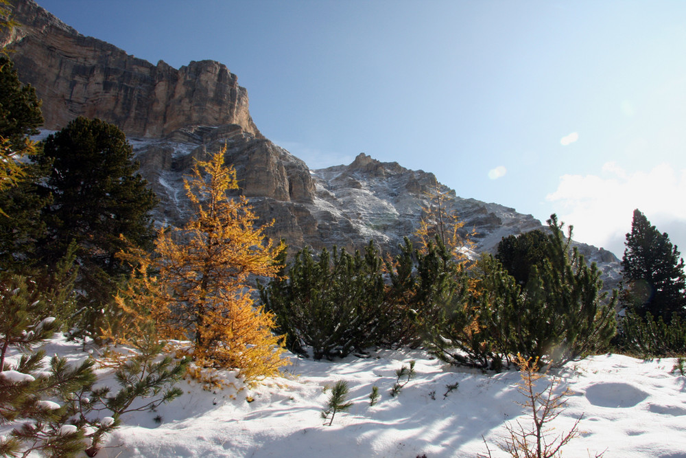 Herbst-Winterlandschaft