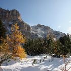 Herbst-Winterlandschaft