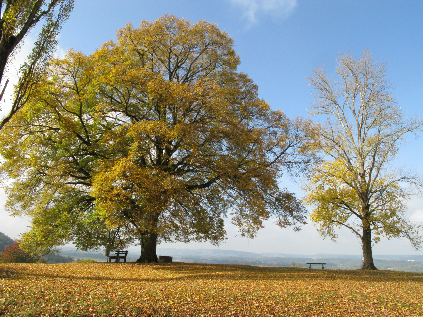 Herbst wird´s auf dem Schlossberg
