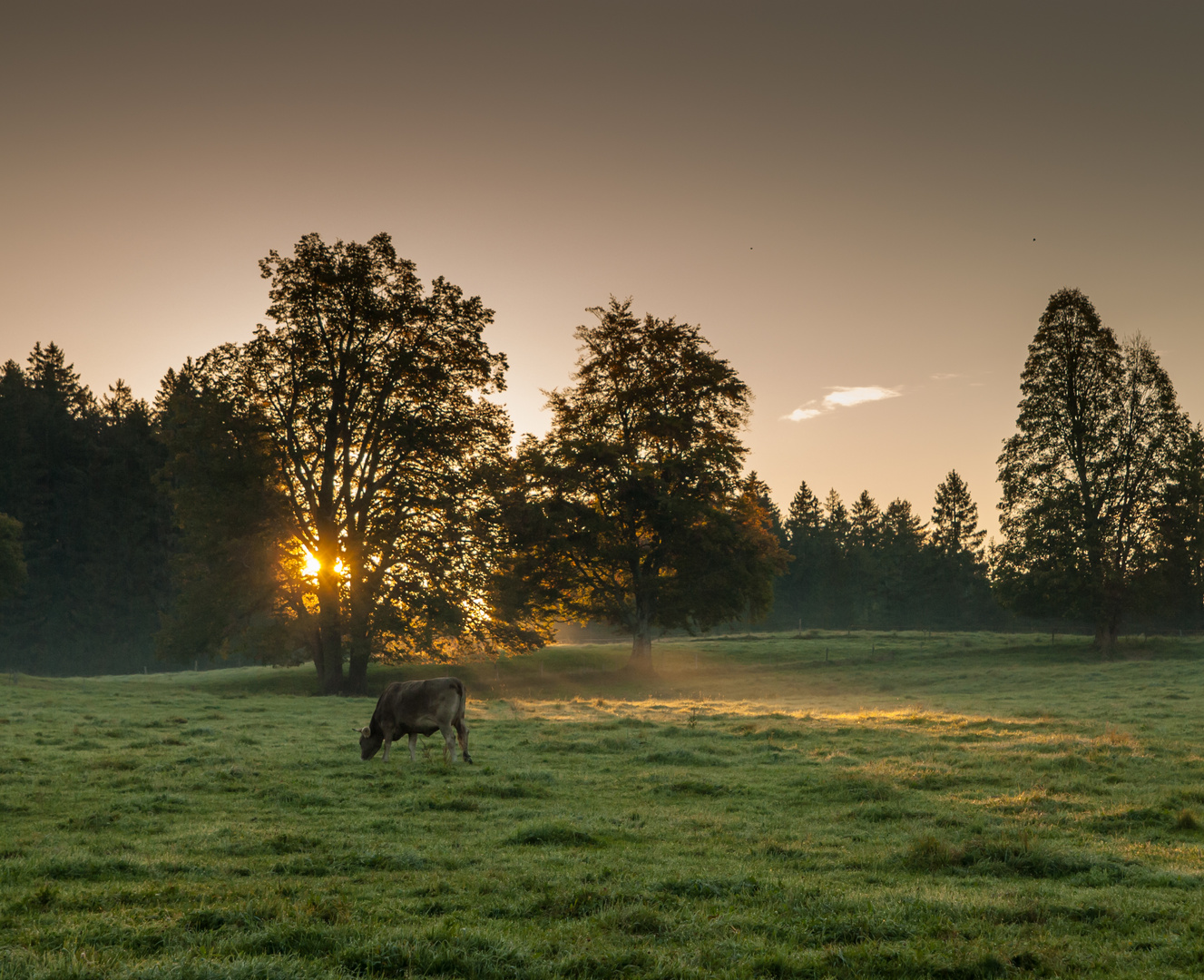 Herbst wirds Nr.1