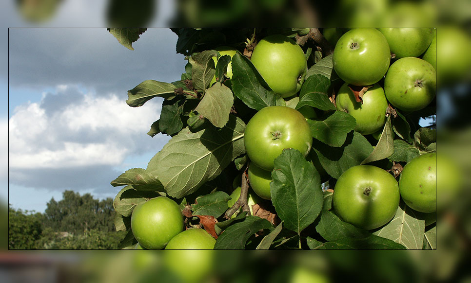 Herbst-Wochenendgruß