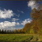 Herbst - Wolken - Waldrand