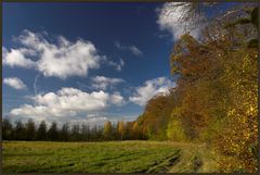 Herbst - Wolken - Waldrand