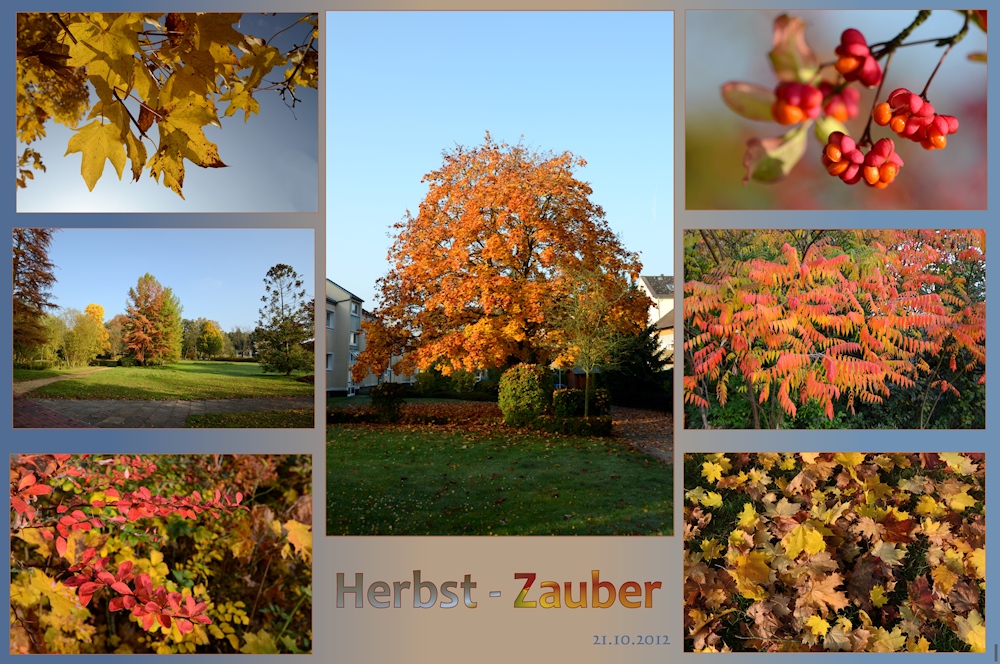 Herbst - Zauber -2-