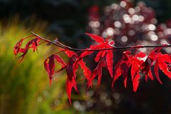 Herbst Zauber...