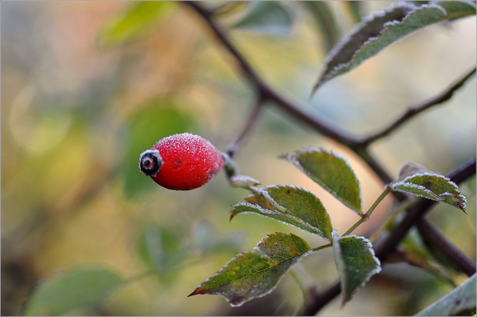 HERBST - Zauber -6-