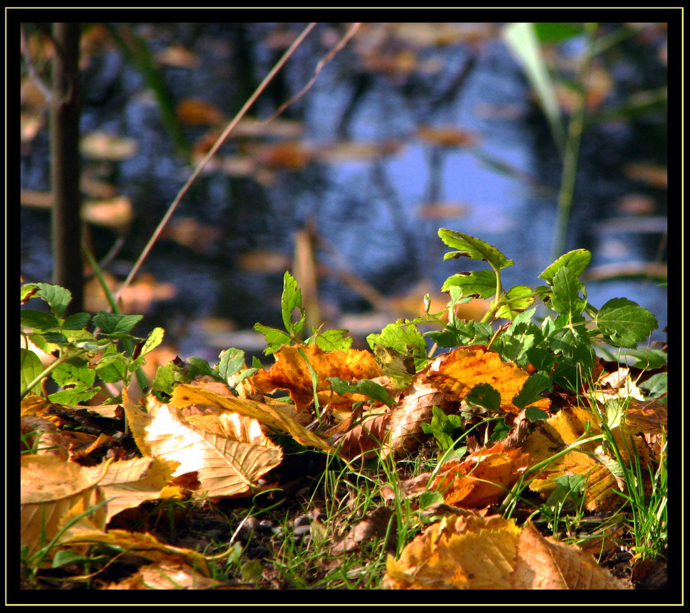 HERBST-Zauber in all seinen Farben