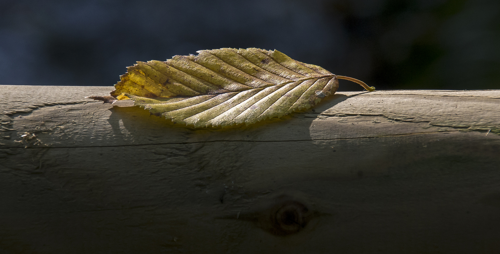 Herbst - Zeichen...