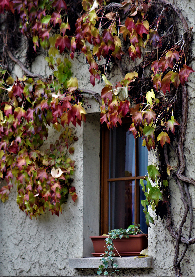 Herbst ,  Zeit der Einkehr