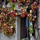 Herbst ,  Zeit der Einkehr