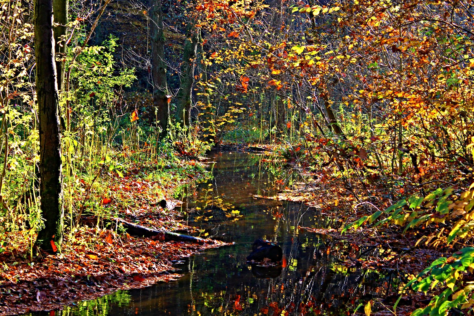 Herbst, Zeit der Farben