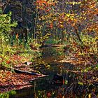 Herbst, Zeit der Farben