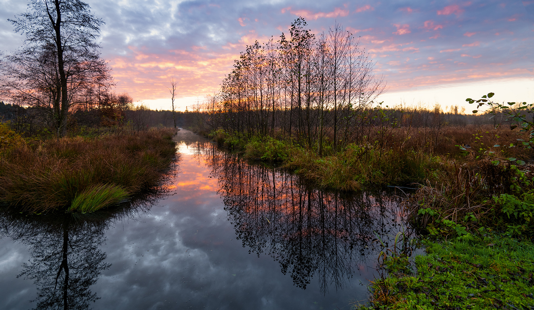 Herbst-Zeit im Moor