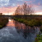 Herbst-Zeit im Moor