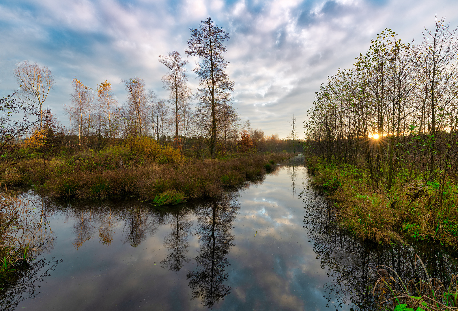 Herbst-Zeit im Moor