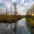 Herbst-Zeit im Moor