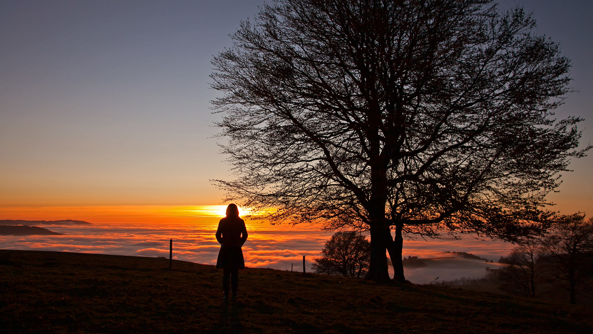 Herbst-Zeit Nebel-Zeit - Freude für die Sinne