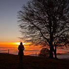 Herbst-Zeit Nebel-Zeit - Freude für die Sinne