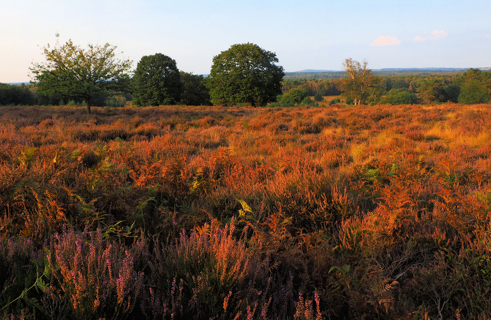 Herbst Zeiten …