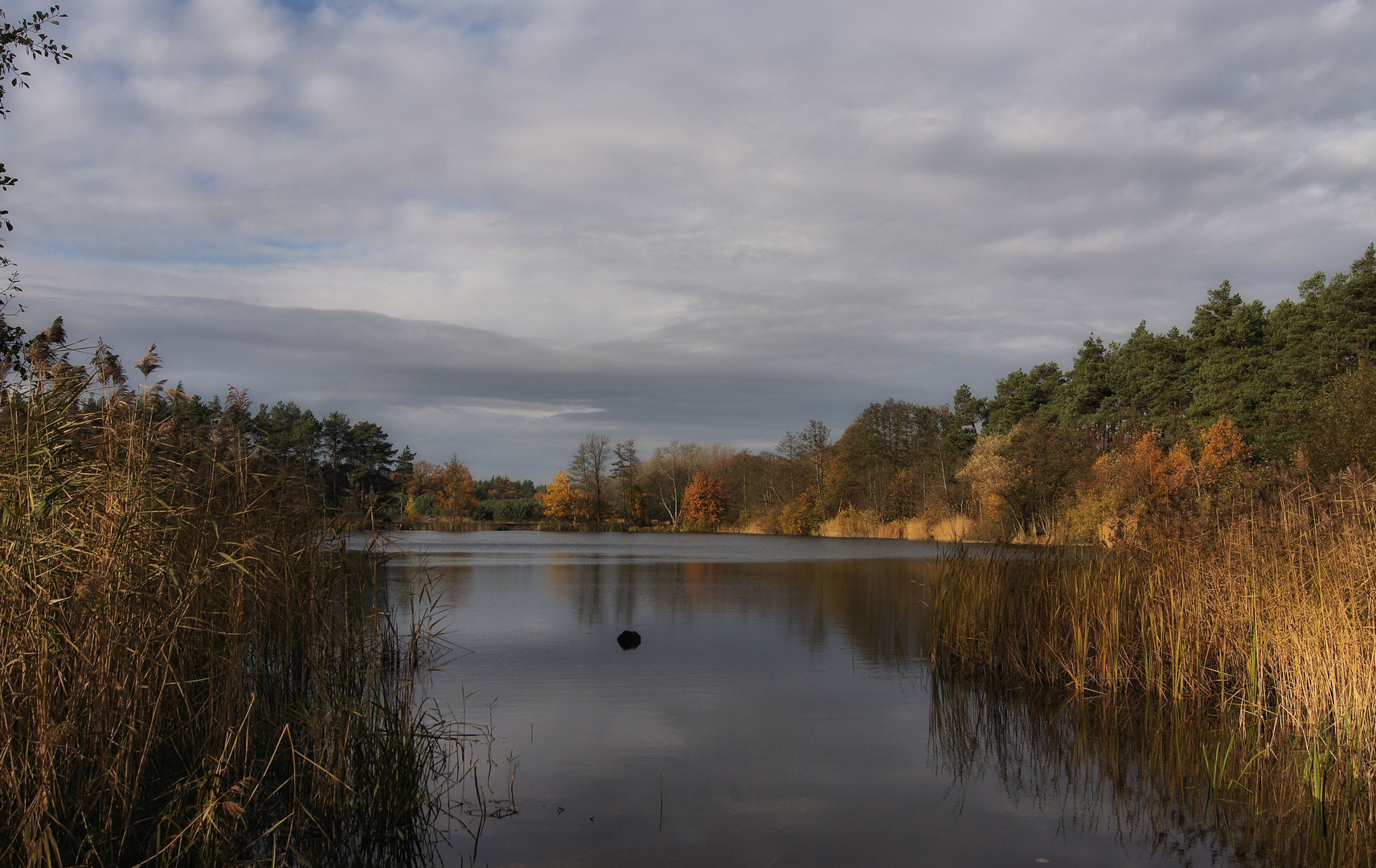 herbst-zeitlos