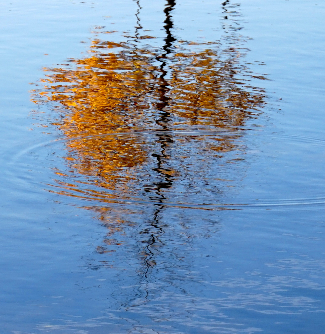 Herbst zeitlos