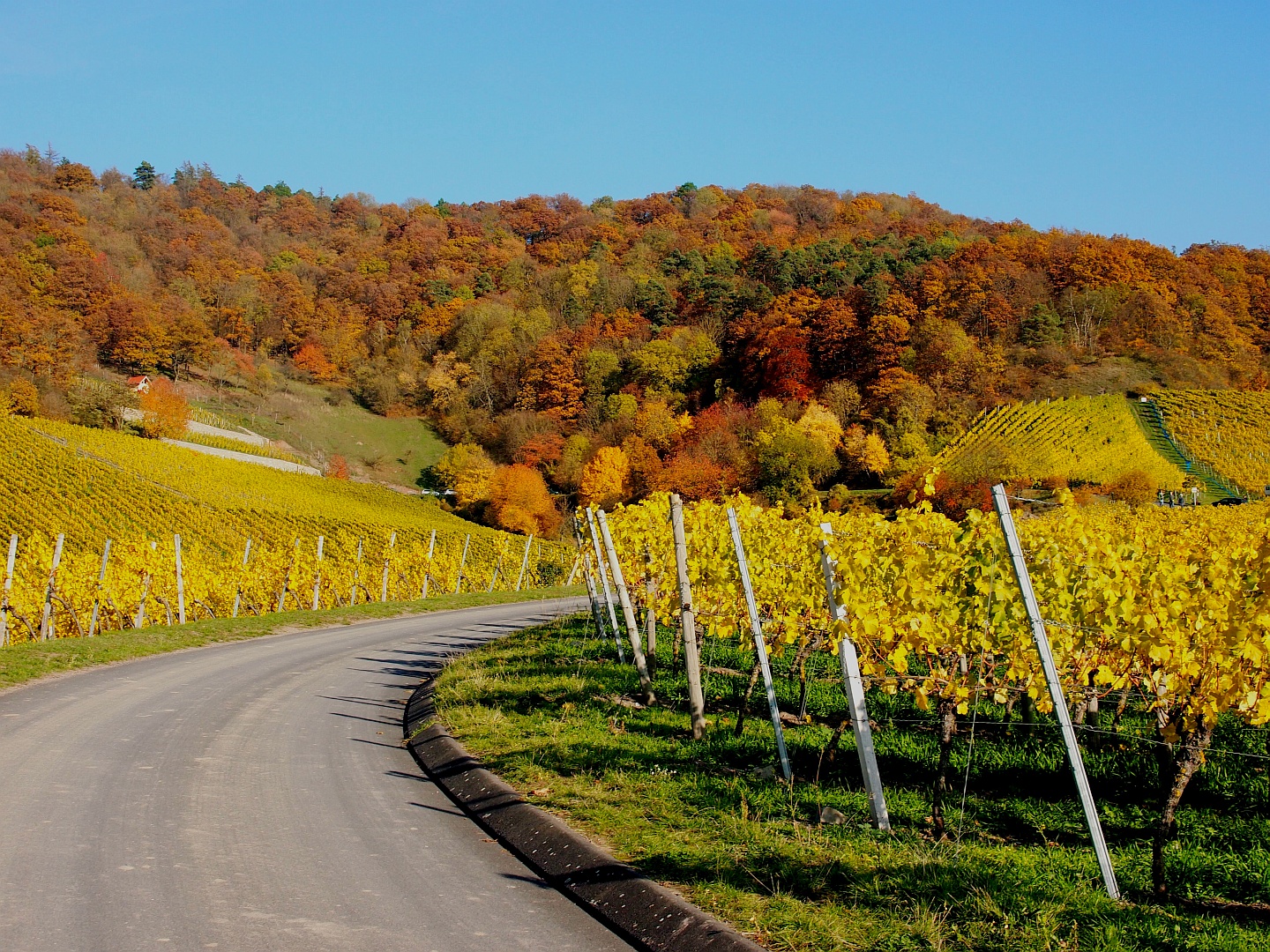 Herbst-Zenit