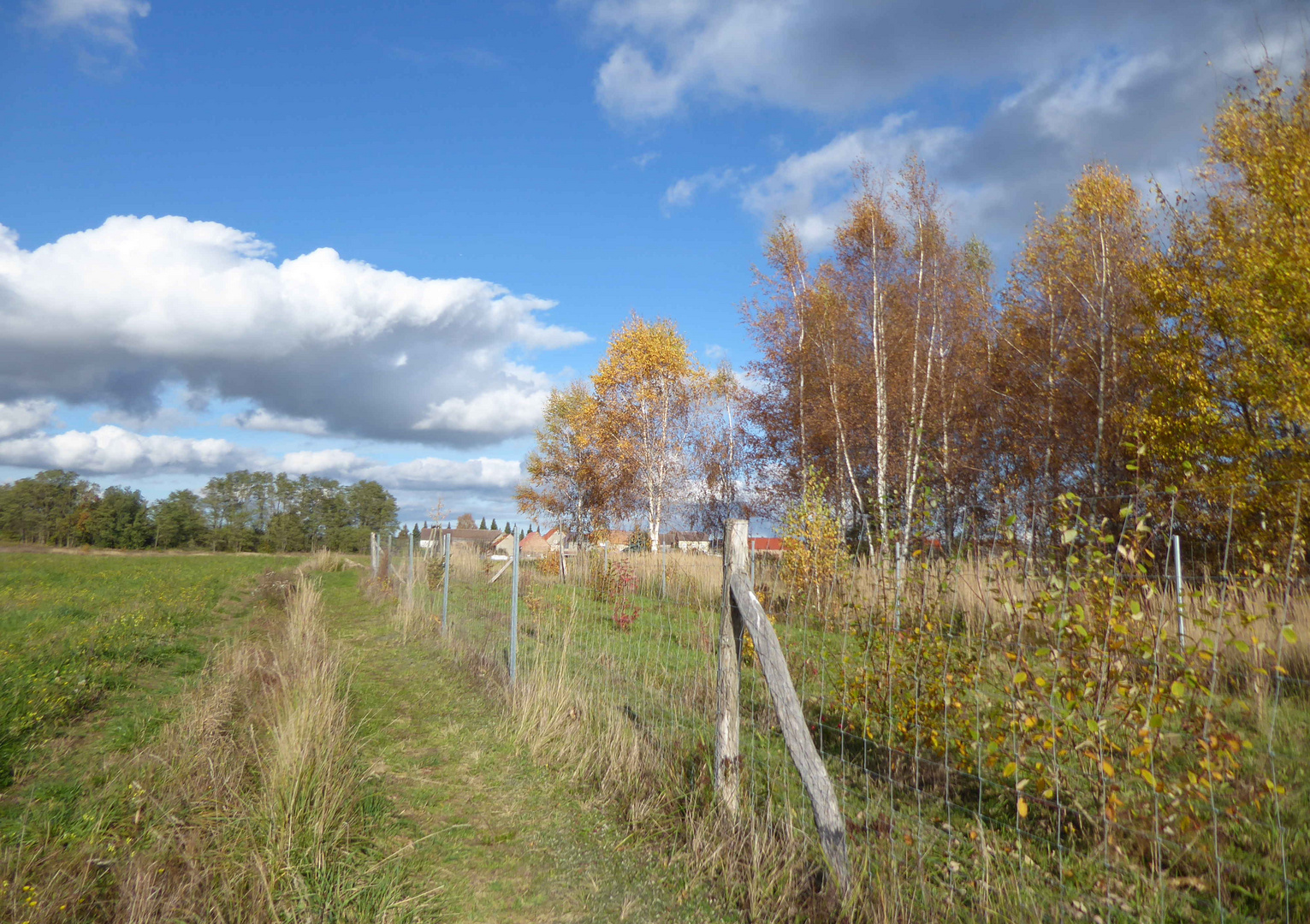 Herbst zu Hause