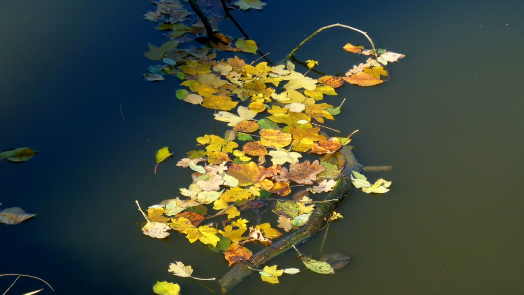 . . "Herbst, . . zu Wasser". .