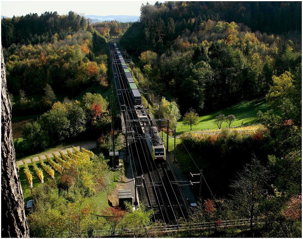 Herbst-Zug