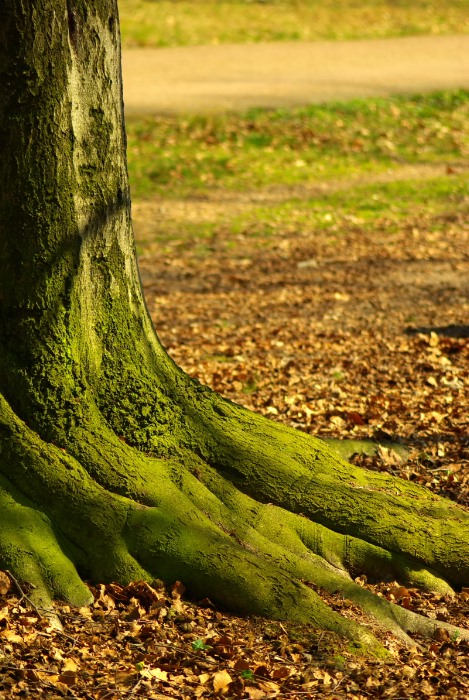 Herbst zum 1. April